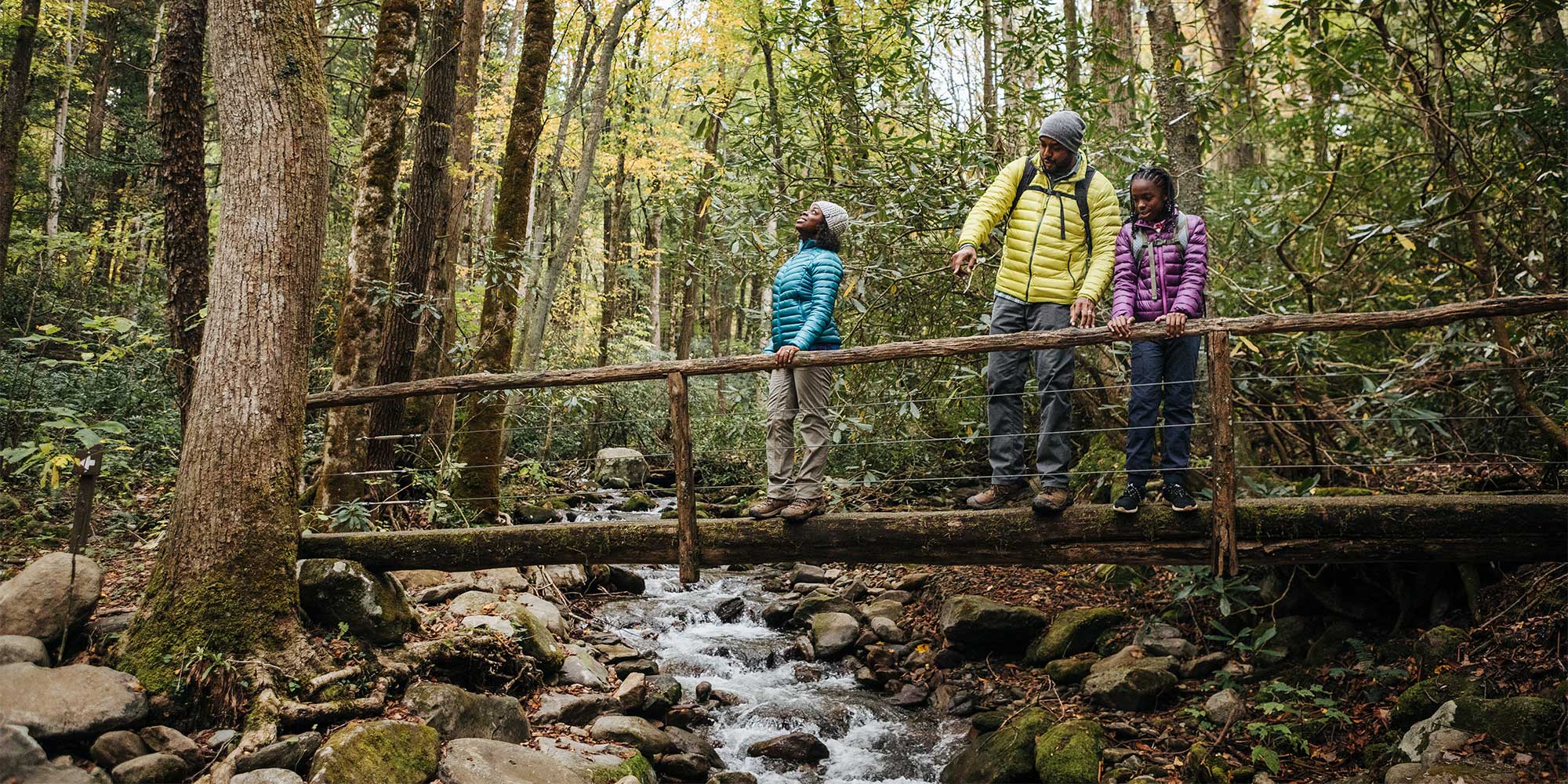 Best smoky mountain hikes 2025