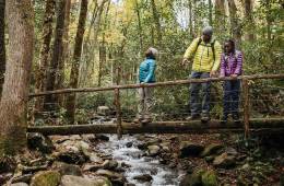 Hikers on a bridge in the Smokies
