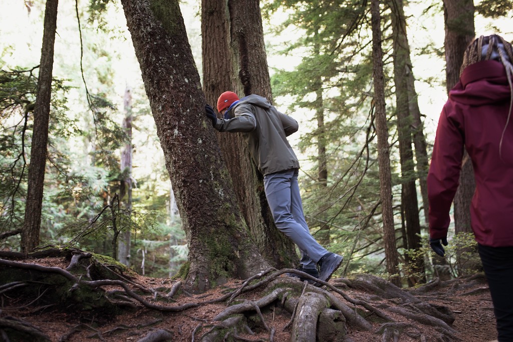 Two hikers in forest