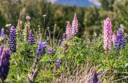 Hiking Through Illness