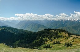 A blue-sky day in Olympic National Park