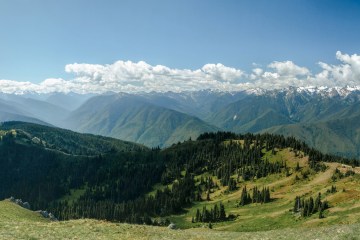 A blue-sky day in Olympic National Park