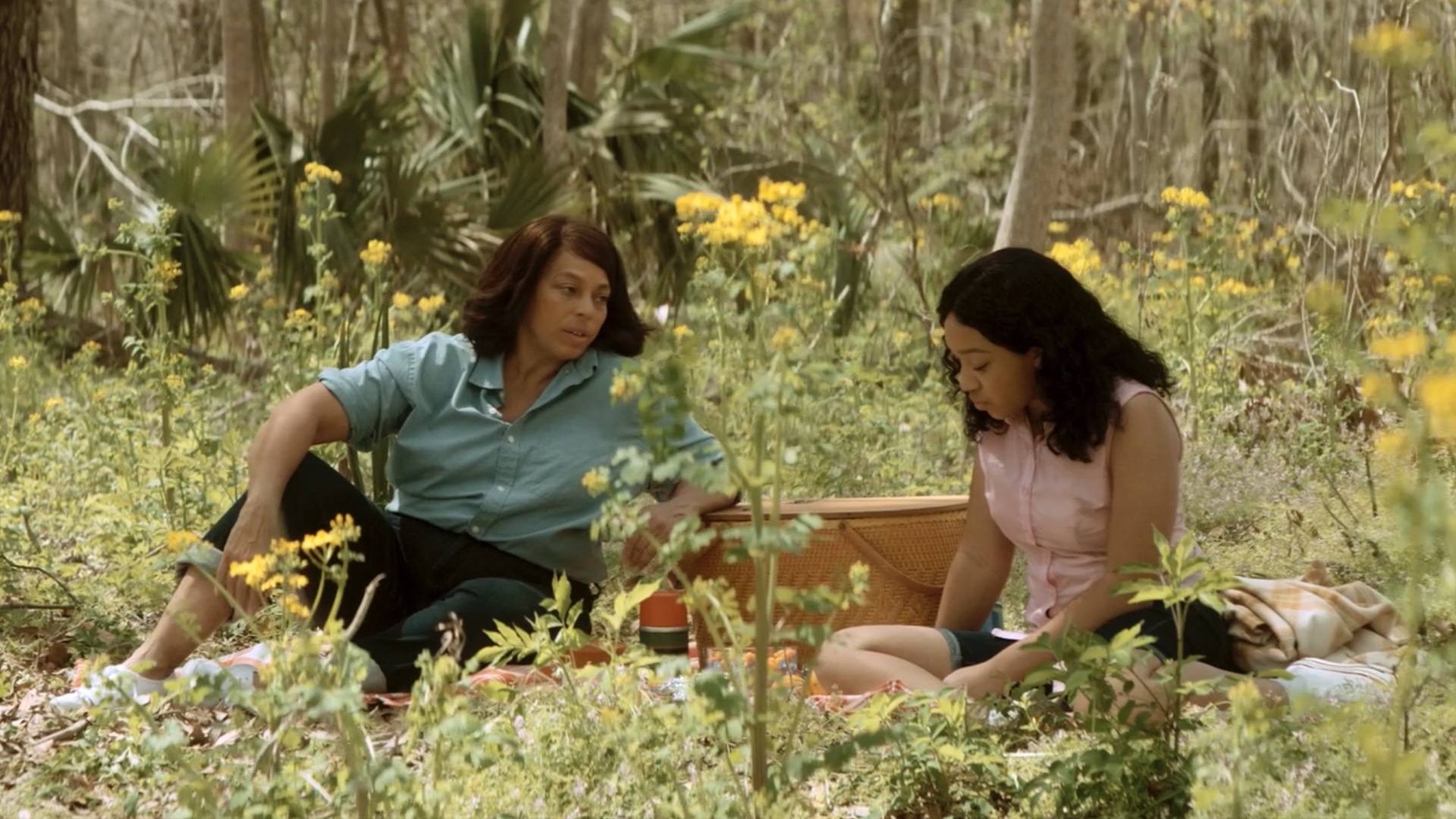 The Trees Remember Film Series Path An REI Coop Publication