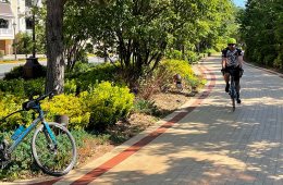 A person rides a bike along a paved path in Boston