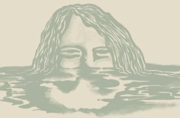 The Firwood Reflection