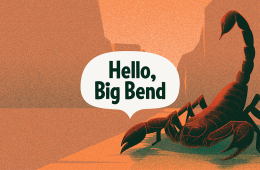 The background is illustrated orange canyons with a scorpion drawing in the foreground and a word bubble that says, "Hello, Big Bend" in the center of the illustration.