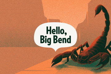 The background is illustrated orange canyons with a scorpion drawing in the foreground and a word bubble that says, "Hello, Big Bend" in the center of the illustration.
