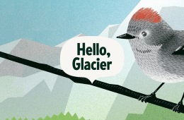 An illustration of a bird on a branch with an illustrated mountain background. In the foreground is a word bubble with Hello, Glacier text.