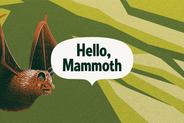 An illustrated bat is in the left hand side of the illustration with a word bubble that says, Hello, Mammoth in the center. The background is shades of green.