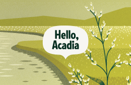 The background is an illustrated coastline with grasses in the foreground. There's a text bubble overlaid that says, Hello, Acadia.