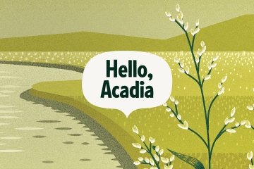 The background is an illustrated coastline with grasses in the foreground. There's a text bubble overlaid that says, Hello, Acadia.