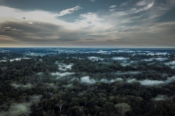 A photo of the Amazon rainforest. The sky is full of clouds and there's mist hanging over green trees.