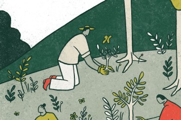 4 Natural Climate Solutions (And What We Can Do to Support Them)