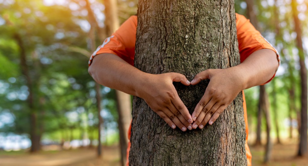 A person hugging a tree.