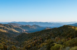 Best Hikes Near Chattanooga