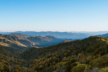 Best Hikes Near Chattanooga