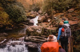 Best Waterfall Hikes Near Asheville