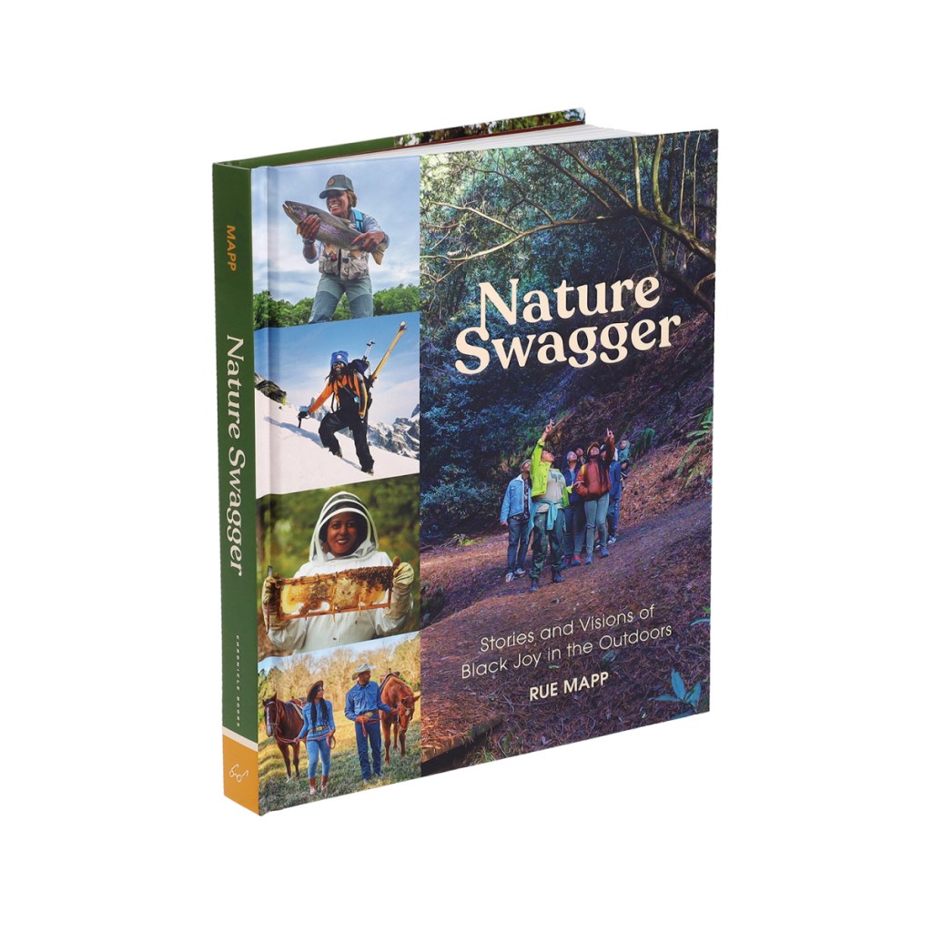 Nature Swagger book cover