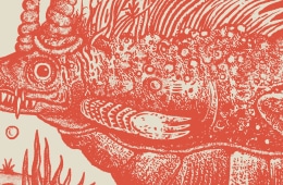 Alkali Lake Monster