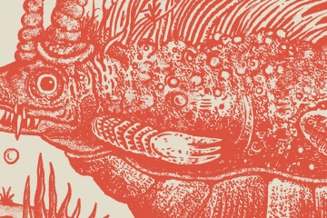Alkali Lake Monster