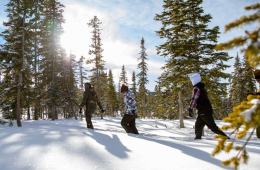 Ask An Outsider: How Can I Enjoy Winter More?
