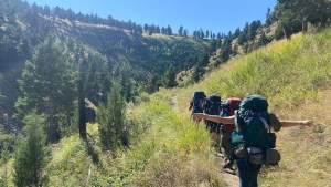 A group of True North Treks backpackers on a hike in Yellowstone