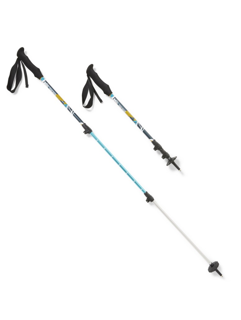 REI Co-op Trailmade Print Trekking Poles