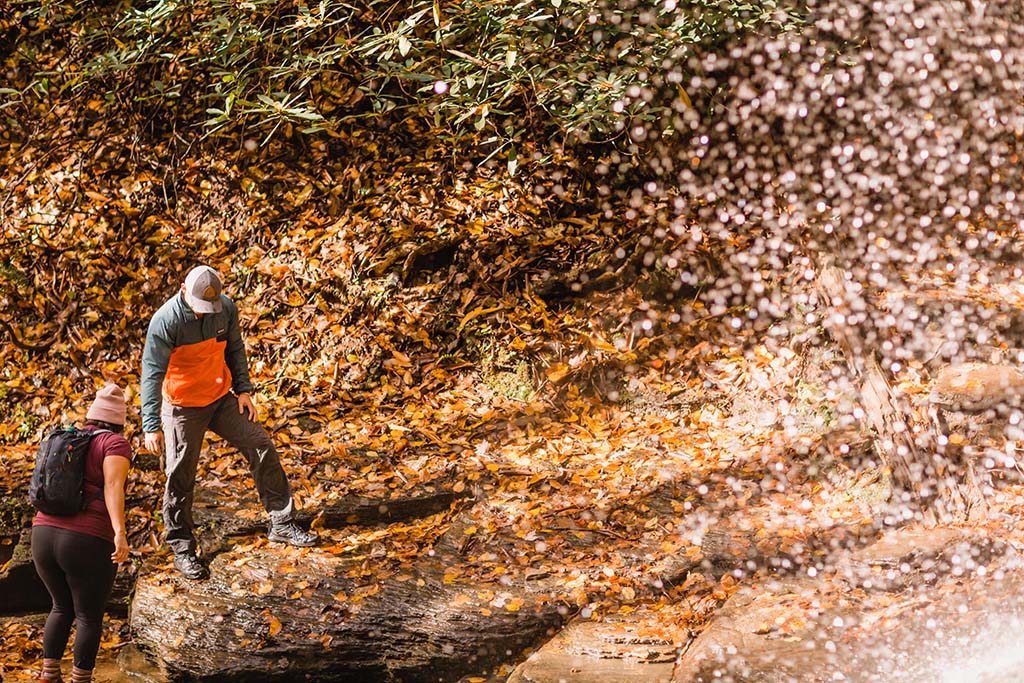 Two hikers in an autumn wood