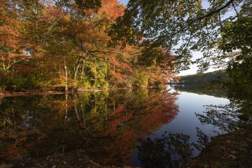 A fall scene with colorful trees