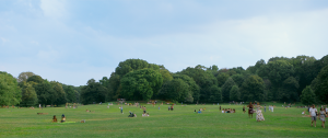 A wide shot of Prospect Park, Brooklyn.