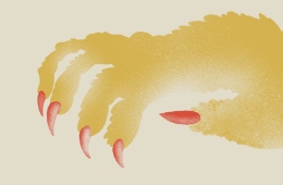 The Mujina
