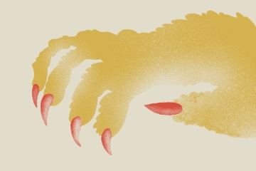 The Mujina