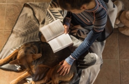 A person reads a book under a blanket next to a dog.
