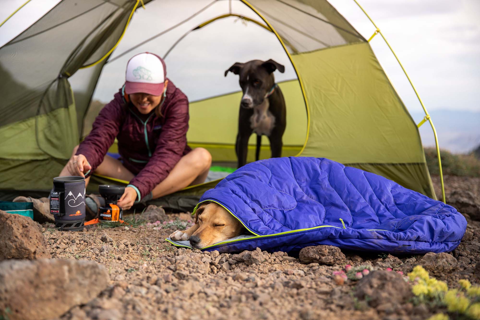 A dog is snuggled in their Ruffwear Highlands Sleeping Bag at camp near a tent, where a human and another dog sit close by.