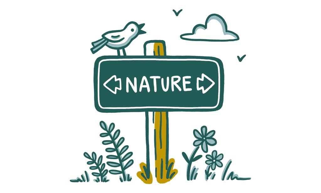 An illustration of a signpost that reads "NATURE," and has a bird sitting on it.