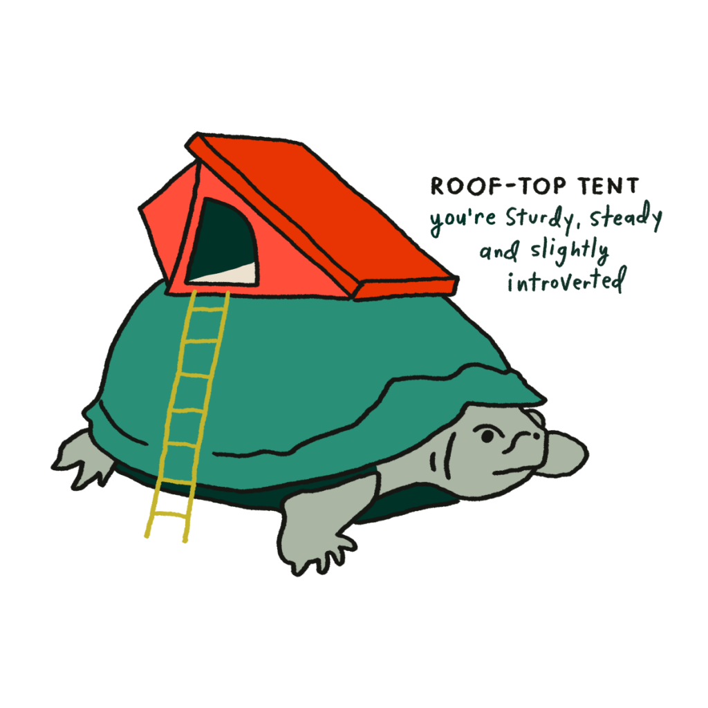 An illustration of a tent on top of a turtle with the words "you're sturdy, steady and slightly introverted"