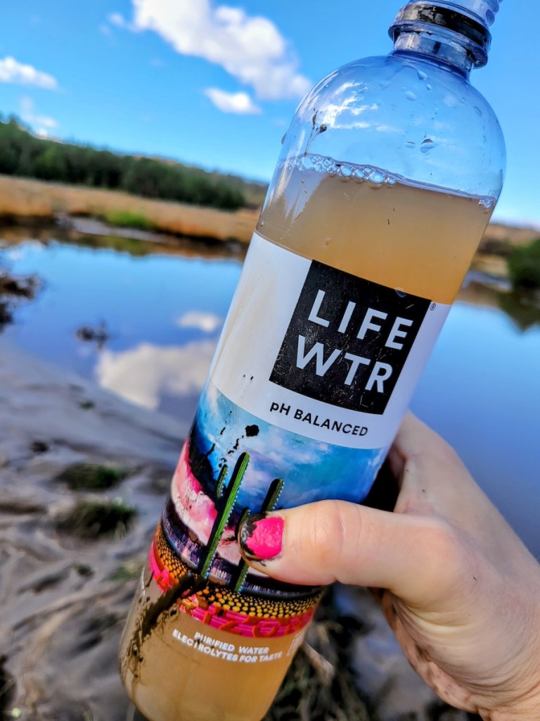 A bottle holds dirty water.