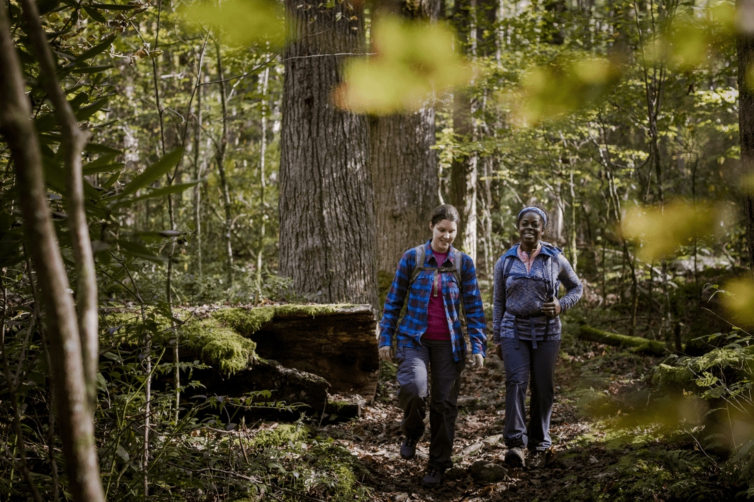Two hikers in the woods walking side by side