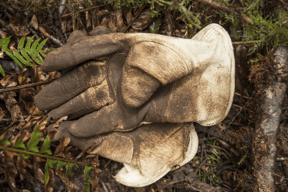 A dirty pair of heavy gloves, used for trail stewardship