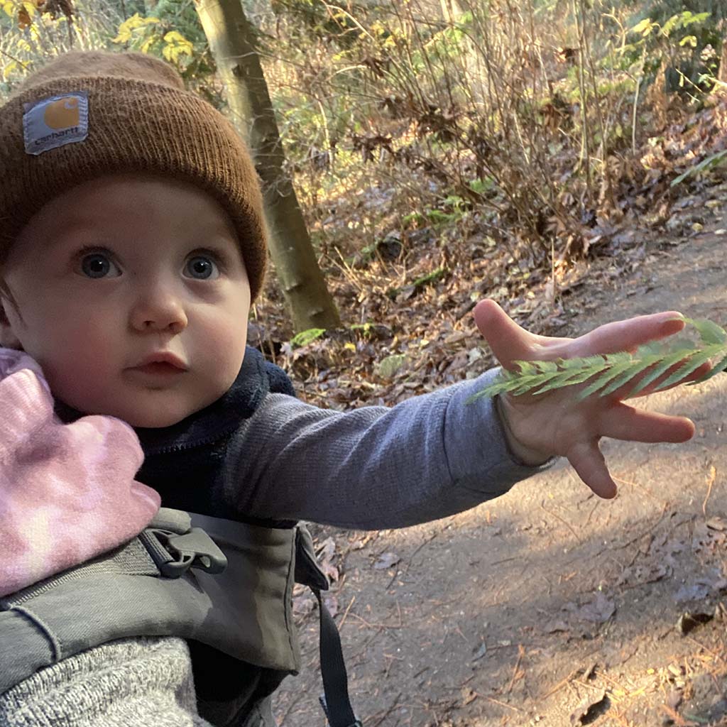A young child in a kid carrying backpack reaches out to grab a leaf