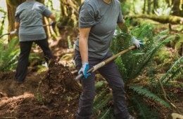 Two people use garden tools to work on a trail.