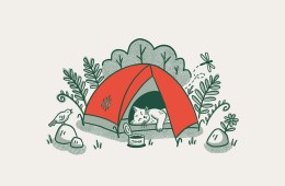Illustration of a cat camping in a tent.