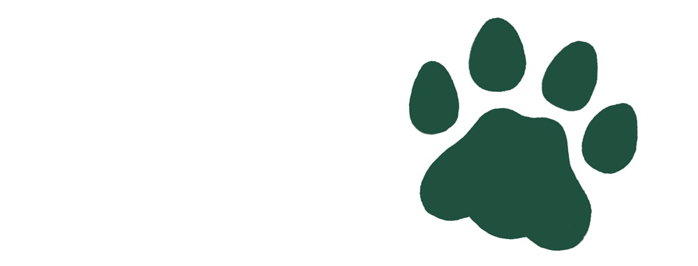 Illustration of a green paw print.
