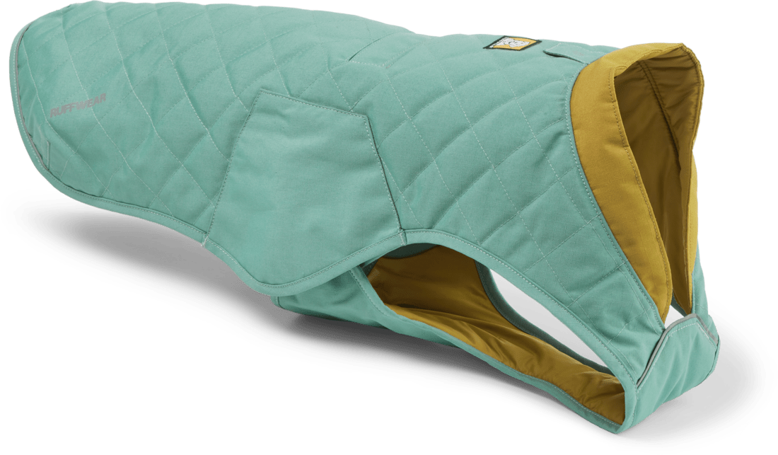 A teal and green dog jacket