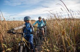 A family is biking along a plank bike trail in tall grass