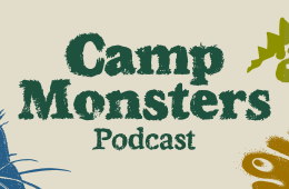 Camp Monsters season 6