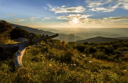 How Veterans Can Visit National Parks for Free