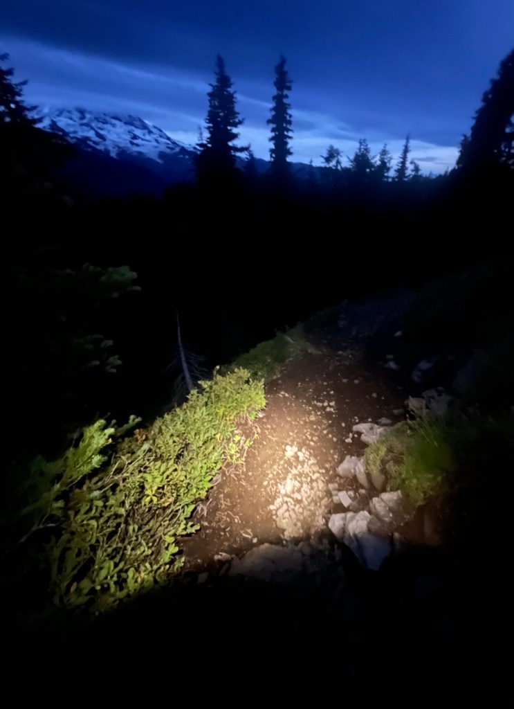 A headlamp's beam illuminates a night-dark trail.