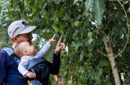 An adult wearing a baseball cap carries a toddler in a soft, front-facing baby carrier in the outdoors