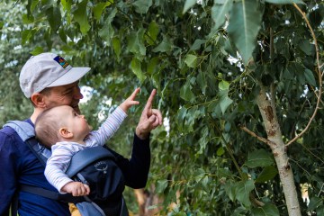 An adult wearing a baseball cap carries a toddler in a soft, front-facing baby carrier in the outdoors
